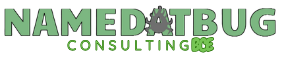 NameDatBug Consulting Services